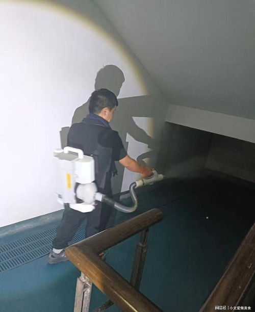 專業(yè)白蟻防治與圖文設(shè)計 杭州白蟻防治消殺中心服務(wù)指南